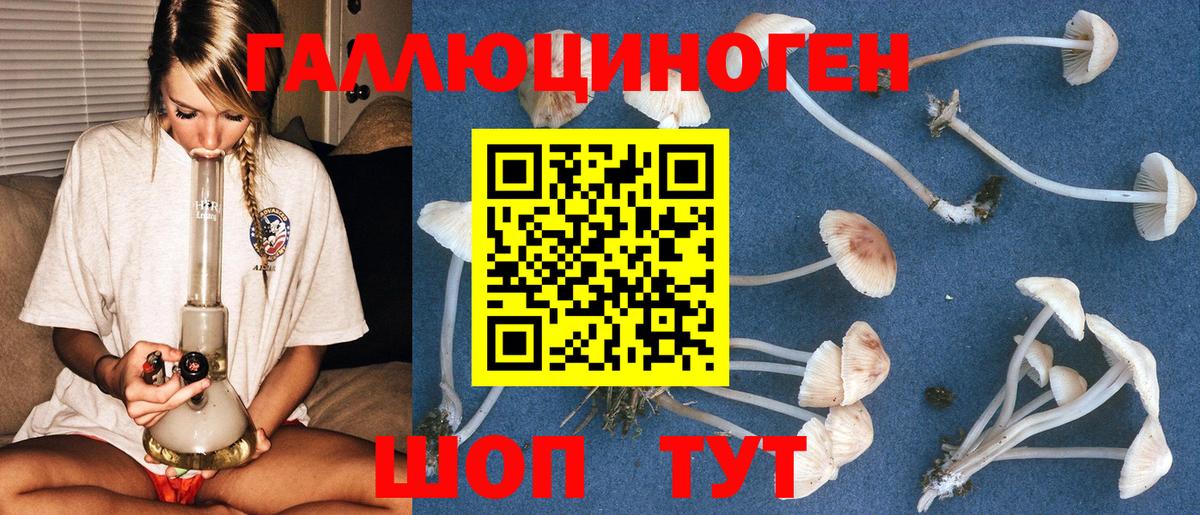 Псилоцибиновые грибы мухоморы Ишимбай