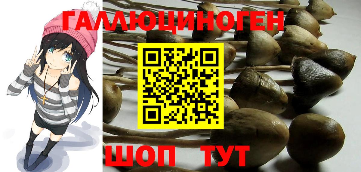 Галлюциногенные грибы MAGIC MUSHROOMS  Вход с VPN  Ишимбай 